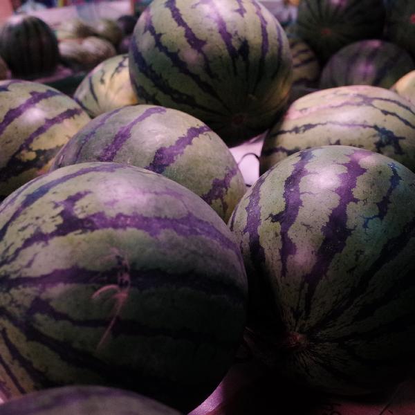 西瓜皮西瓜减肥原理和做法