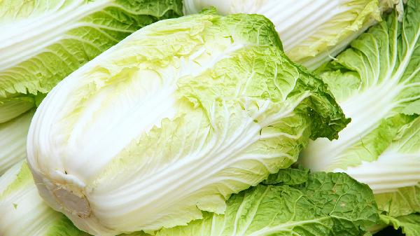 晚上吃水煮白菜减肥吗(图1) 晚上吃水煮白菜减肥吗